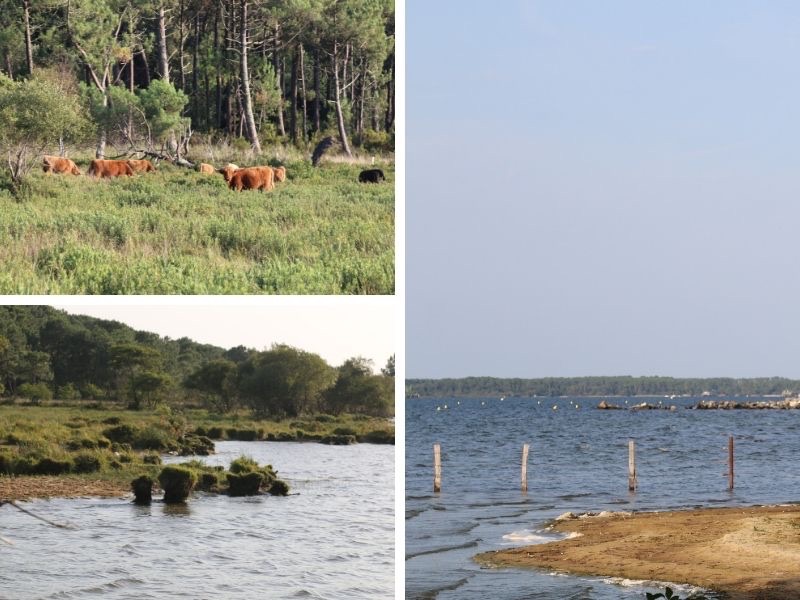 Visite nature marais