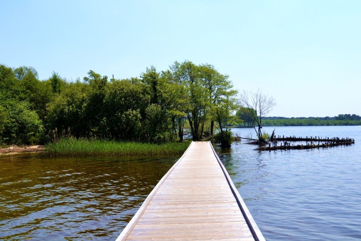 les lacs de Biscarrosse
