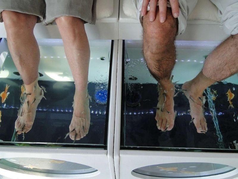 Fish & spa, Aquazen Bisca Grands Lacs