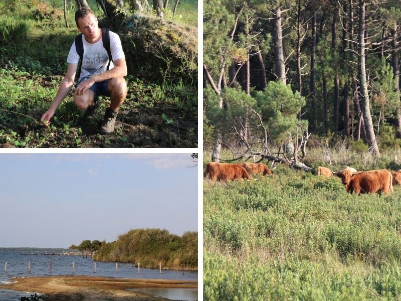 Marais et zones humides, Bisca Grands Lacs