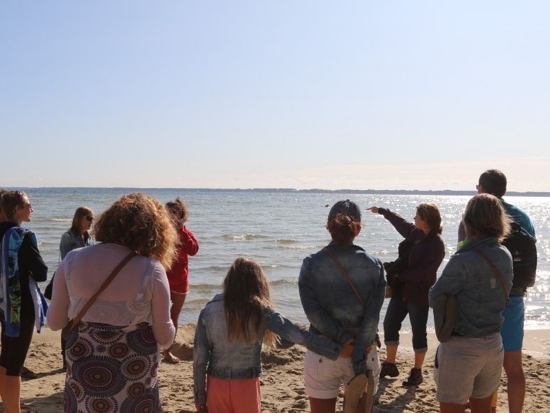 Vis ta plage au lac Bisca Grands Lacs