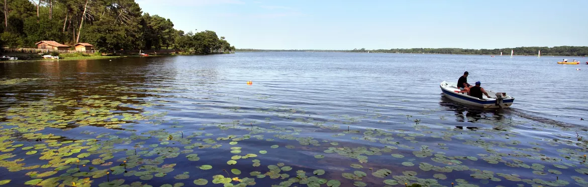 Pêche à Parentis en Born Pêche en eau douce sur le lac de Parentis