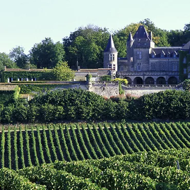 Le vignoble Bordelais Le vignoble Bordelais