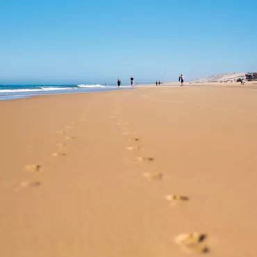 Hébergements à Biscarrosse plage Hébergements à Biscarrosse plage