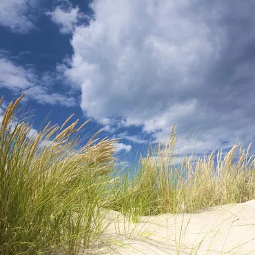 Prévisions météo Prévisions météo