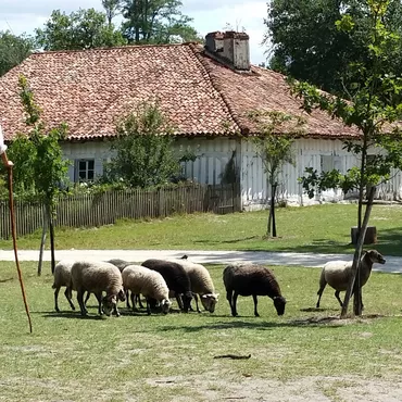 Notre TOP des lieux à découvrir autour de Biscarrosse et des Grands Lacs