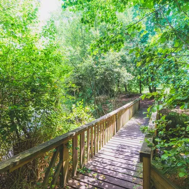 Une rentrée en live à Biscarrosse plage