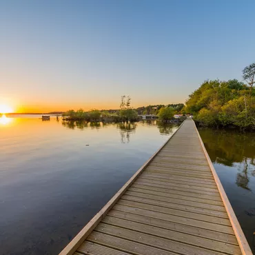 Bisca Grands Lacs, Concentré des Landes Bisca Grands Lacs, Concentré des Landes