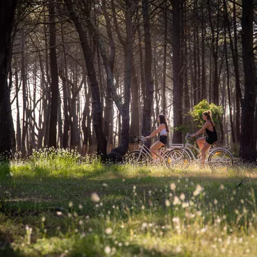 balade vélo dans les landes balade vélo dans les landes