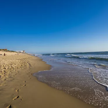 Balade sur la plage de Biscarrosse au printemps !