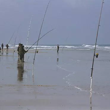 La Pêche en bord de mer  La Pêche en bord de mer