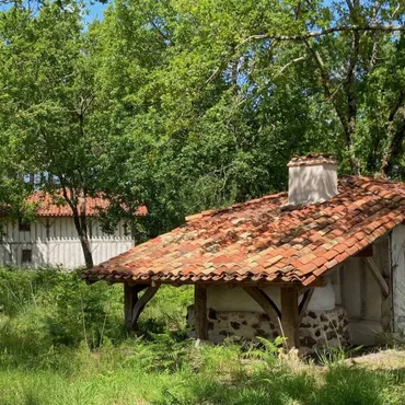 Conservatoire des Landes de Gascogne Conservatoire des Landes de Gascogne