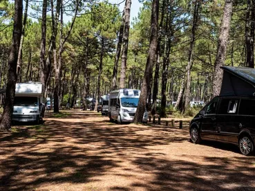 aire-camping-cars-le-vivier-biscarrosse aire-camping-cars-le-vivier-biscarrosse
