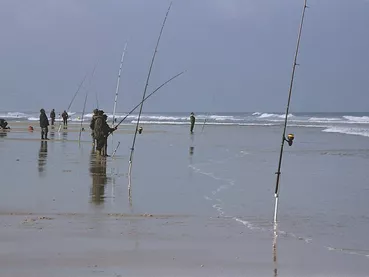 surfcasting surfcasting