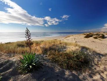 plage-oceane-bisca plage-oceane-bisca