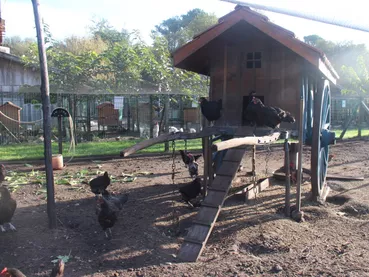 ferme-pédagogique-association-culturelle-biscarrossaise ferme-pédagogique-association-culturelle-biscarrossaise