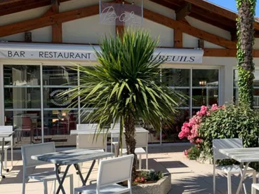 Les Ecureuils Les Ecureuils