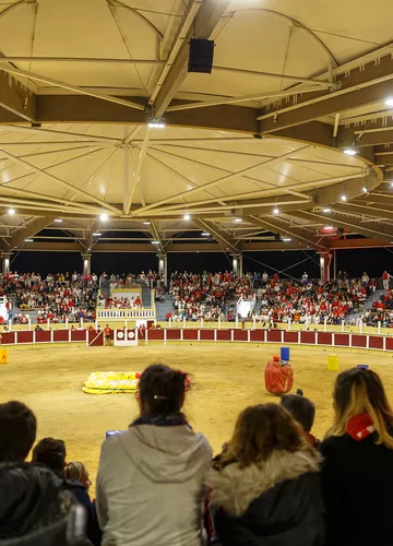 02-_arenes_parentis.jpg 02-_arenes_parentis.jpg