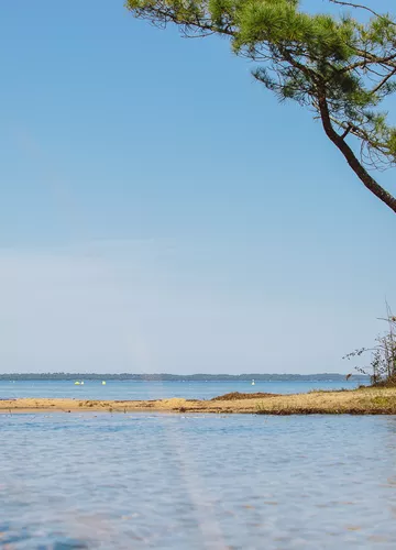Lac de Biscarrosse Parentis les Grands Lacs Landais