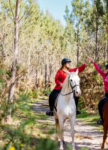 balade_cheval_foret_landes.jpg balade_cheval_foret_landes.jpg