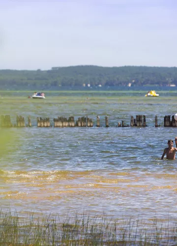 Baignade sur le lac de Cazaux Sanguinet Baignade sur le lac de Cazaux Sanguinet