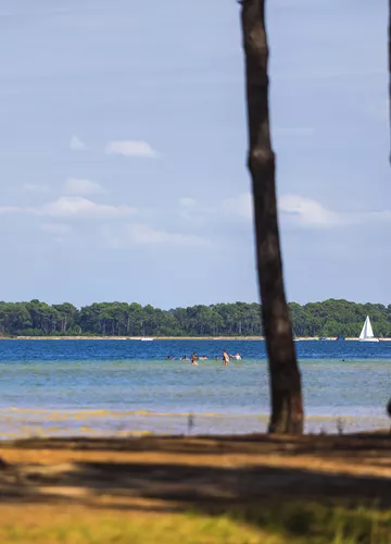 Lac de Biscarrosse Lac de Biscarrosse
