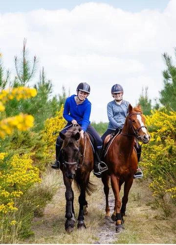Equitation en foret Equitation en foret