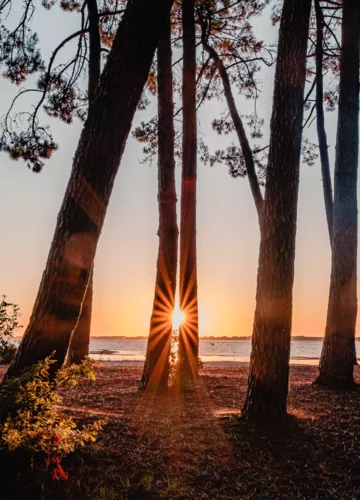 coucher-de-soleil-biscarrosse-lac.png coucher-de-soleil-biscarrosse-lac.png