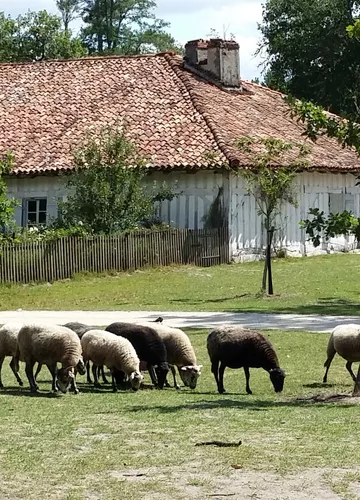 Ecomusée de Marquèze Ecomusée de Marquèze