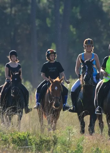 A cheval à Bisca Grands Lacs Sortie équestre en forêt