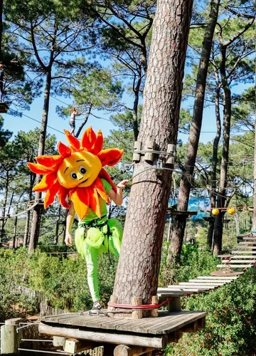 fleur-biscaventure.jpg fleur-biscaventure.jpg