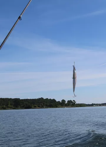 pêche biscarrosse pêche biscarrosse