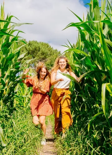 labyrinthe-mais-landes.jpg labyrinthe-mais-landes.jpg