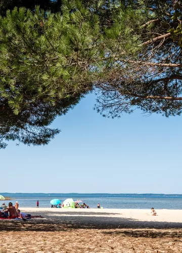 Plages du lac de sanguinet lac de sanguinet-landes
