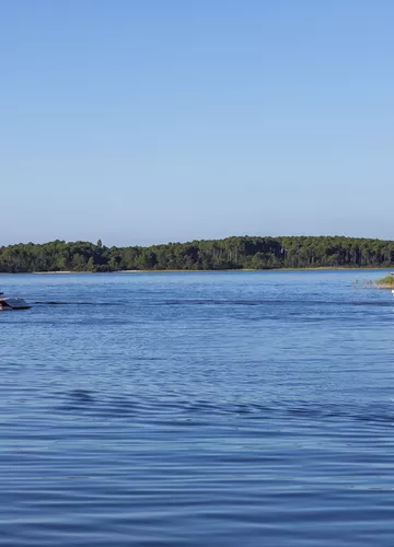 Le lac de Sanguinet Le lac de Sanguinet