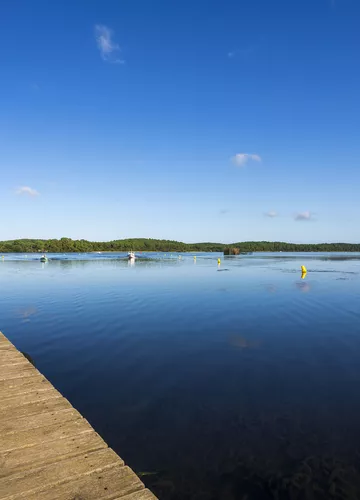 Le lac de Sainte Eulalie en Born Le lac de Sainte Eulalie en Born