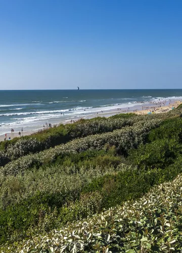 Plage de Biscarrosse plage-ocean-bisca