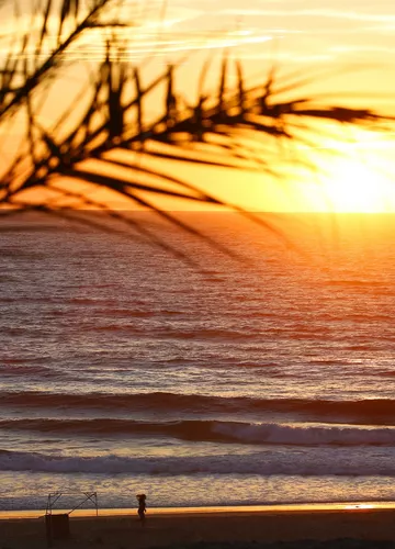 Les plages de Biscarrosse Les plages de Biscarrosse