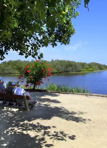 promenafe-fleurie-mimizan_3.jpg promenafe-fleurie-mimizan_3.jpg