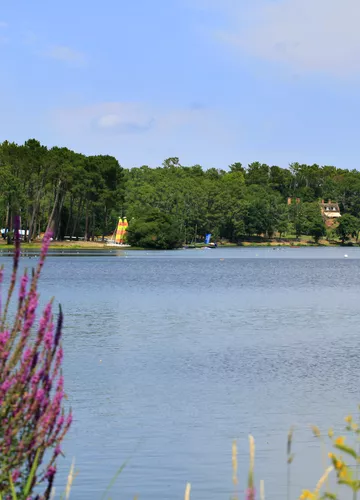 promenafe-fleurie-mimizan_4.jpg promenafe-fleurie-mimizan_4.jpg