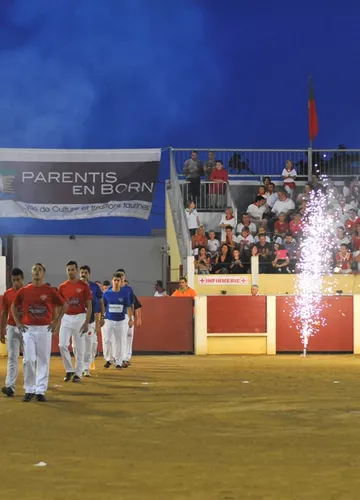 Féria de Parentis en Born Féria de Parentis en Born