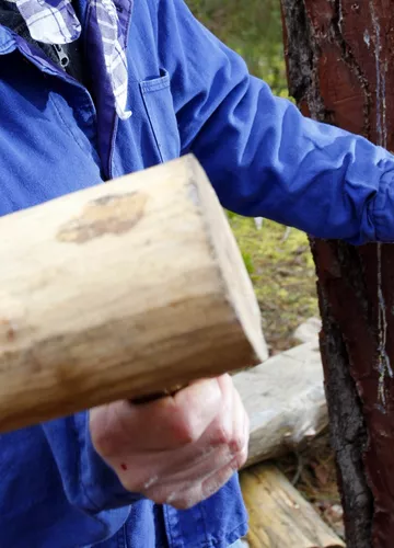 Un résinier au travail Un résinier des gascons de Biscarrosse