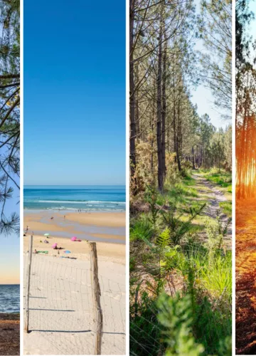 top-photos-printemps-bisca-grands-lacs.png top-photos-printemps-bisca-grands-lacs.png