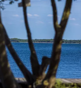 Hébergements à Biscarrosse Lac Hébergements à Biscarrosse Lac