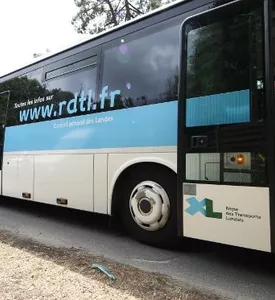 Lignes & horaires de bus Lignes & horaires de bus