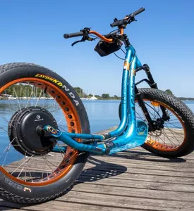 Les vélos de la Plage ponton Les vélos de la Plage ponton