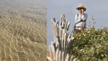 Yannick Le Toquin - Ot Bisca 2022 - 2 Yannick Le Toquin - Ot Bisca 2022 - 2