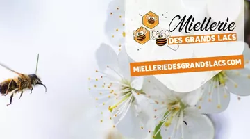 Miellerie des Grans Lacs Impression Miellerie des Grans Lacs Impression