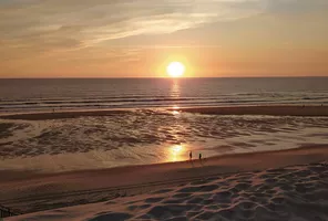 IMG_20201111_093625 IMG_20201111_093625