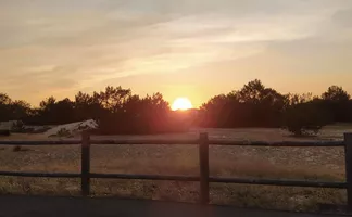 IMG_20201111_093713 IMG_20201111_093713